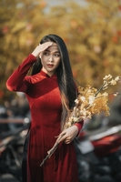 bảo nhi