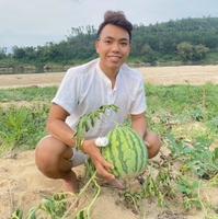Triệu Anh