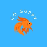 Cô Guppy