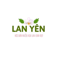 Hoa Lan Chiêu Yên Cần Thơ