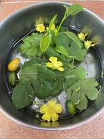 Hải