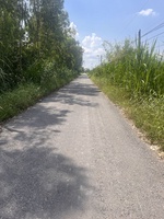 Thái Thái