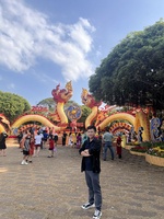 viet