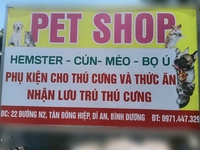 PET CƯNG HAMSTER Dĩ AN