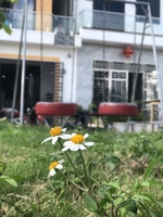 Vo Cuong