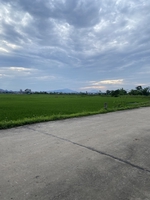 trai nhà lành