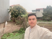 Đàm Việt Linh