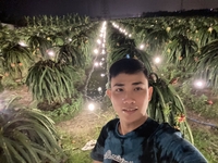 Ho Nguyen