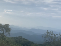 tân