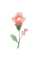 CƯƠNG PHẠM
