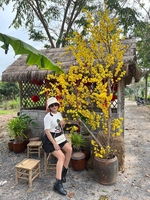 võ thanh hiền
