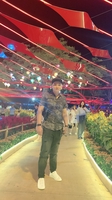 Diệp Vấn