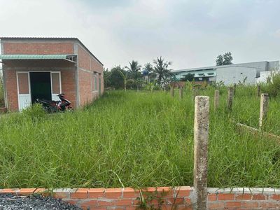 Mời anh chị mua đất đầu tư lâu dài. Mua bán đất tại Huyện Thủ Thừa Long An được đăng bởi phan thi thuy dinh