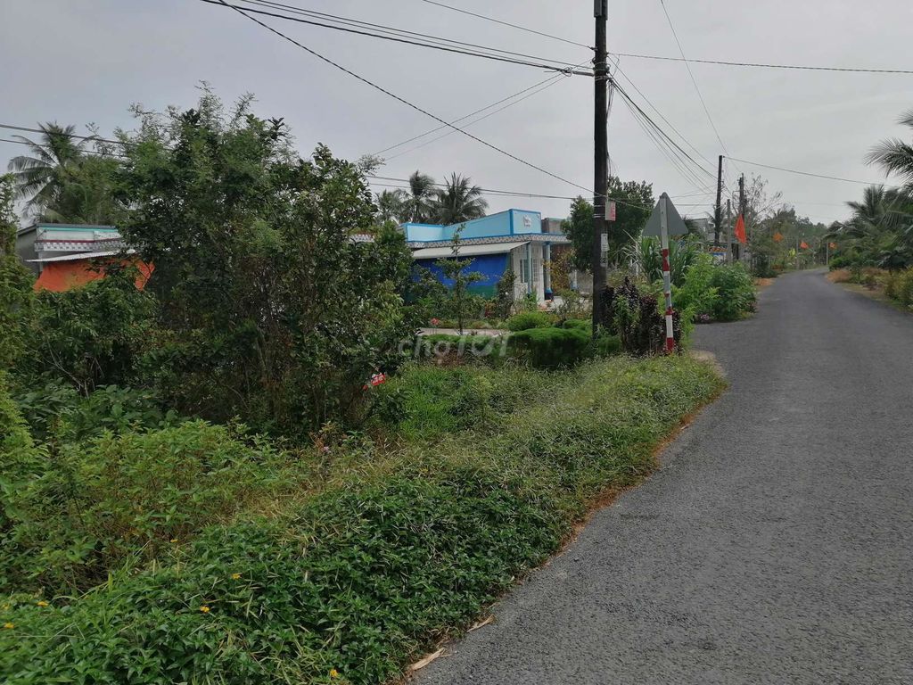 Bán đất xã Tân Hạnh đường nhựa 5T có 100m Thổ