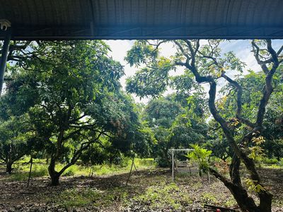 BÁN ĐẤT NHÀ VƯỜN NGHỈ DƯỠNG XUYÊN MỘC, BÀ RỊA VŨNG TÀU