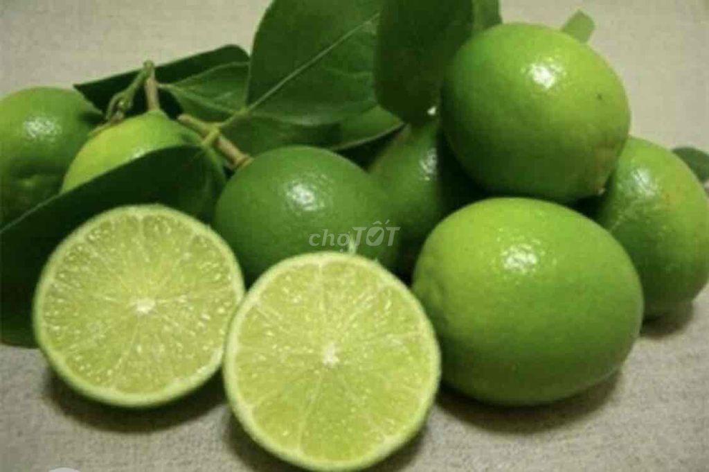 Cây giống Chanh không hạt. Mua bán Cây cảnh, đồ trang trí tại Huyện Cái Bè Tiền Giang được đăng bởi Võ Minh Luân hình 1