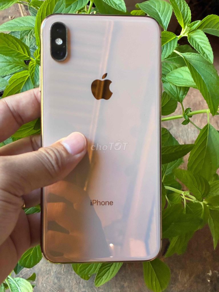 Apple iPhone XS Max 512GB Vàng. Mua bán Điện thoại tại Thành phố Buôn Ma Thuột Đắk Lắk được đăng bởi THIÊN NGUYỄN FB hình 1