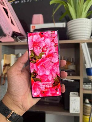 Samsung Galaxy Note 20 5G BÁN TRẢ GÓP. Mua bán Điện thoại tại Quận Ninh Kiều Cần Thơ được đăng bởi HẢI APPLE CẦN THƠ