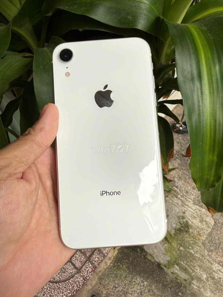 Apple iPhone XR Trắng Đã sử dụng 75%. Mua bán Điện thoại tại Thành phố Thuận An Bình Dương được đăng bởi Tuan apple hình 1