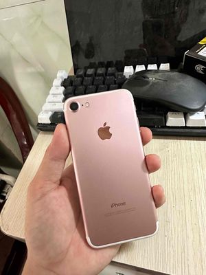 cụm dưới iphone 7 màu rose gold