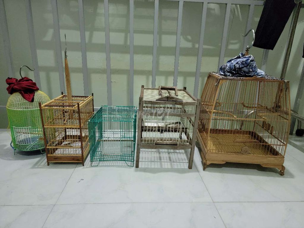 Lồng chim Tre, Kim loại. Mua bán Phụ kiện, Thức ăn, Dịch vụ tại Thành phố Buôn Ma Thuột Đắk Lắk được đăng bởi duy hoàng hình 1