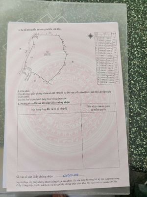 Gia đình cần bán đất tại dalat. Mua bán đất tại Thành phố Đà Lạt Lâm Đồng được đăng bởi Quang minh