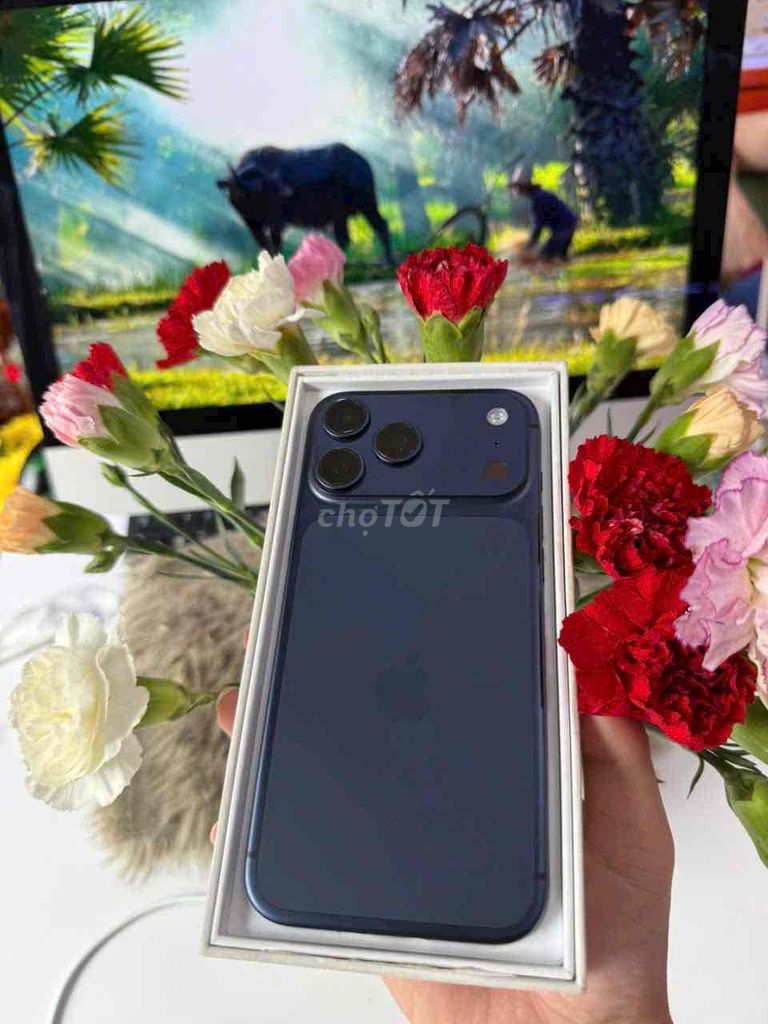 iphone17promax 256gb blue qtế mỹ pin100 bht12/2026. Mua bán Điện thoại tại Quận 3 Tp Hồ Chí Minh được đăng bởi Nam Á Mobile hình 1