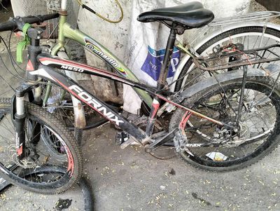 Xe đạp thể thao Fornix bánh 24