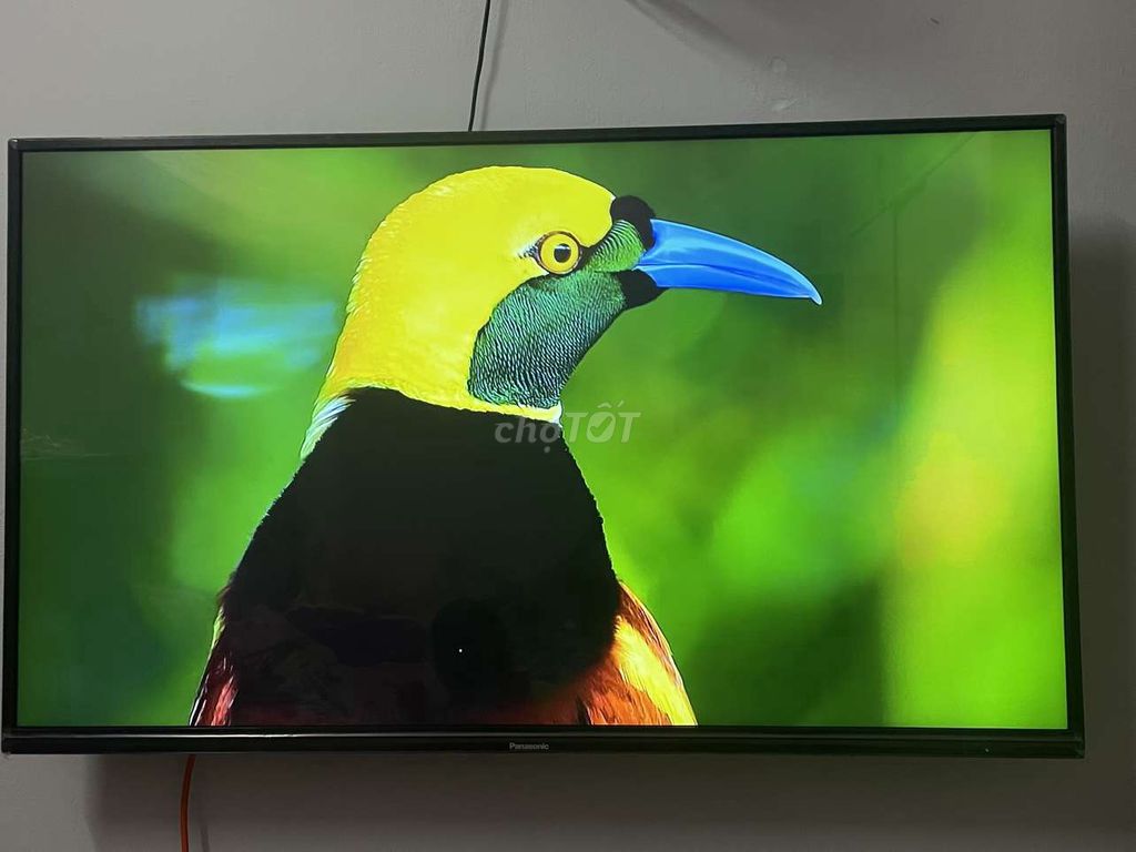 Tivi Smart TV UHD 43 inch 4K Panasonic ❤ Giao lắp