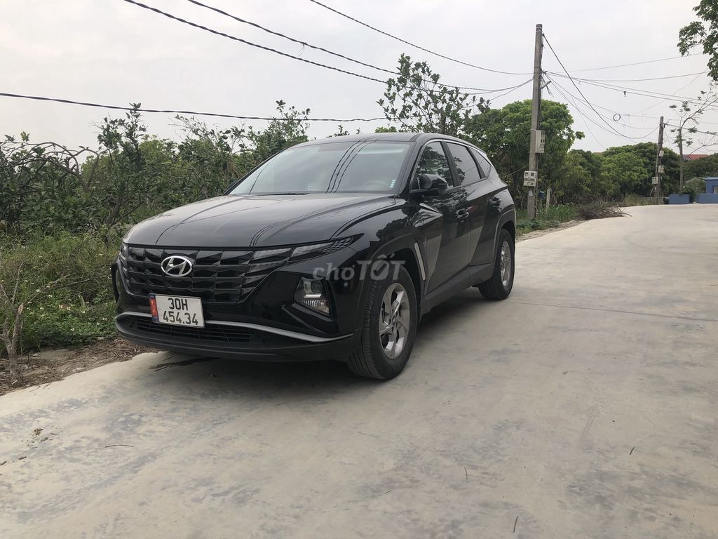 Ảnh số 5