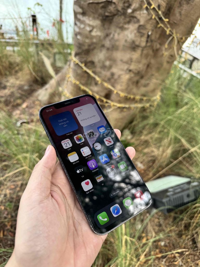 12Prm 256gb Quốc Tế Full cn Đẹp 99%🐵🙈. Mua bán Điện thoại tại Thành phố Vĩnh Long Vĩnh Long được đăng bởi Mr Iphone hình 1