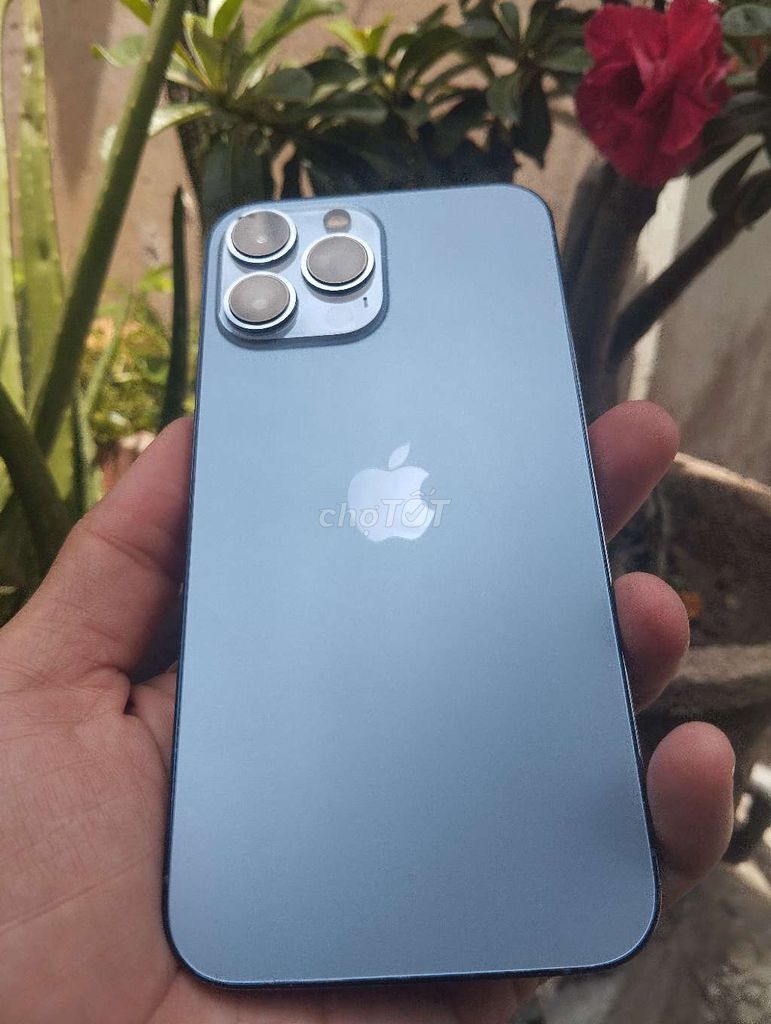 Apple iPhone 13 Pro Max Xanh. Mua bán Điện thoại tại Quận Bình Thạnh Tp Hồ Chí Minh được đăng bởi nguyễn ngọc dương  hình 1
