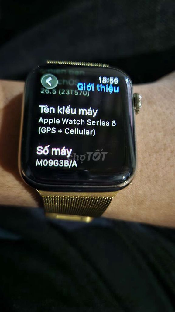 Apple Watch Series 6 eSIM Vàng Thép. Mua bán Thiết bị đeo thông minh tại Quận Ô Môn Cần Thơ được đăng bởi Đam Mê Là Chính hình 1