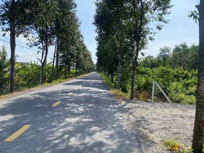 2880m2 đất MT đường nhựa (300m2 thổ cư) Ấp 10, Lương Hòa, Bến Lức, LA. Mua bán đất tại Huyện Bến Lức Long An được đăng bởi Anh Phat