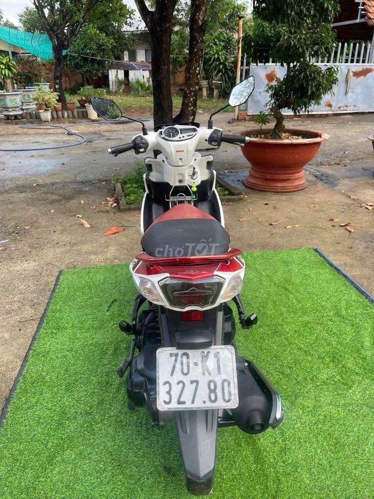 Cần bán NOVO. Mua bán Xe máy tại Thị xã Phú Mỹ Bà Rịa - Vũng Tàu được đăng bởi Lê  Thanh Hải  hình 7