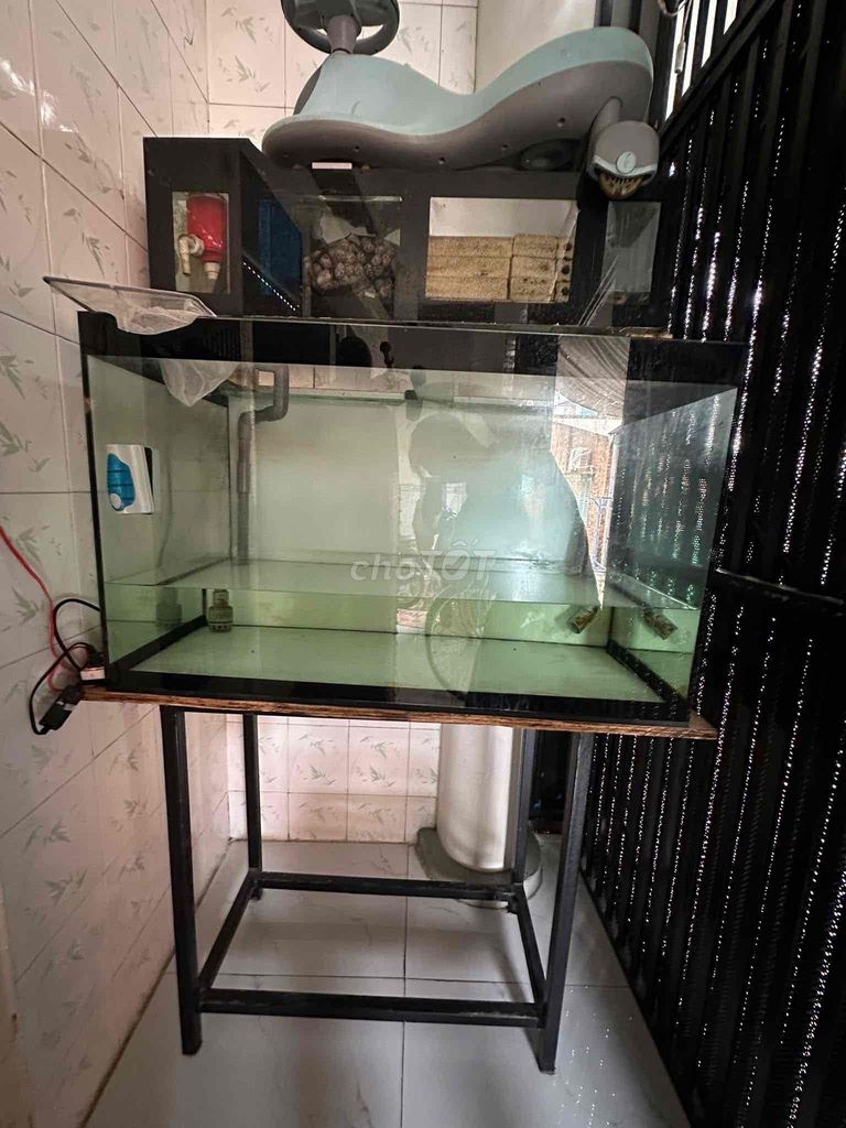 Cần bán 2 hồ cá. Mua bán Phụ kiện, Thức ăn, Dịch vụ tại Thành phố Dĩ An Bình Dương được đăng bởi Đặng Kiều Tiến Dũng hình 1