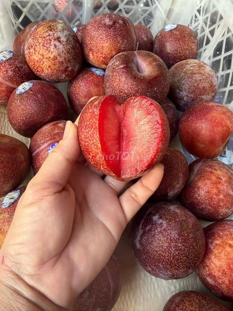 Mận Chile Đỏ tuyển chọn. Mua bán Đồ ăn, thực phẩm và các loại khác tại Thành phố Kon Tum Kon Tum được đăng bởi Minh Anh hình 1