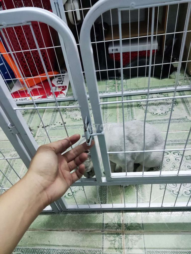 Thanh lý chuồng chó. Mua bán Phụ kiện, Thức ăn, Dịch vụ tại Quận Gò Vấp Tp Hồ Chí Minh được đăng bởi quân hình 5