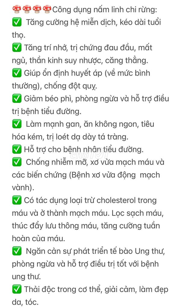 Nấm linh chi rừng tự nhiên 100% - Hàng theo mùa