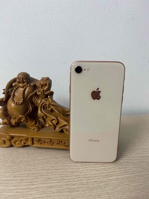 iPhone 8 64GB Vàng hồng Quốc tế Đã sử dụng