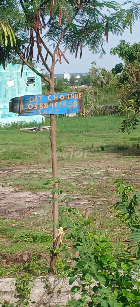 cần cho thuê đất lâu dài. 