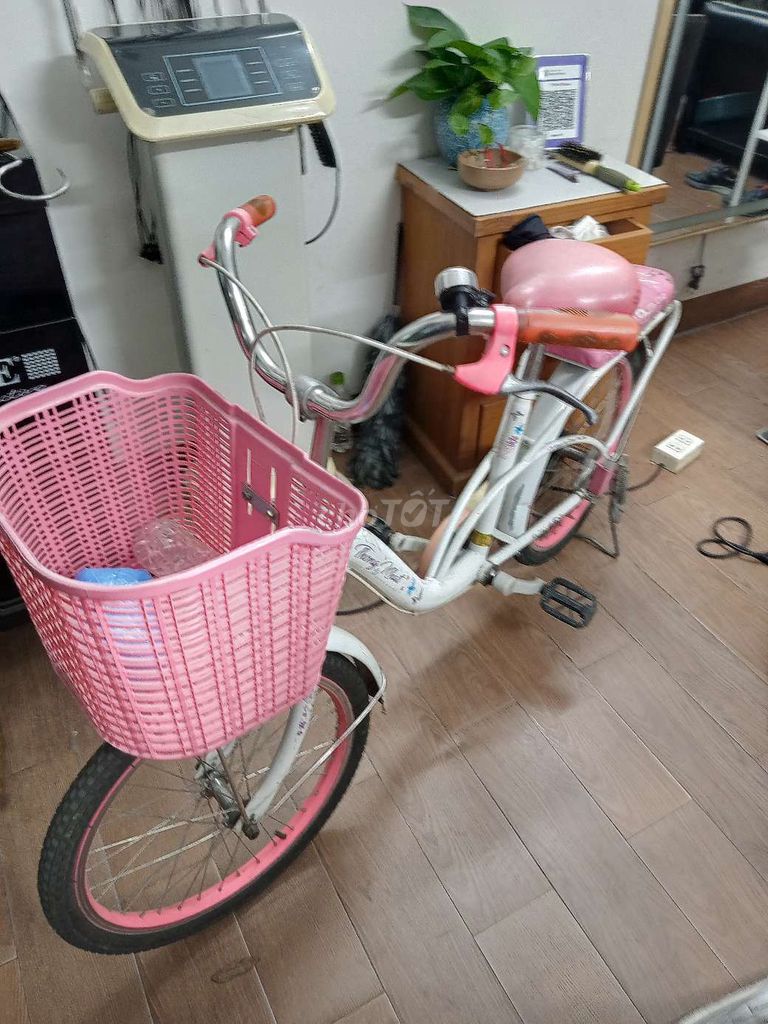 xe đạp mini thống nhất Neo 20-03. Mua bán Xe đạp tại Quận Nam Từ Liêm Hà Nội được đăng bởi An An  hình 1