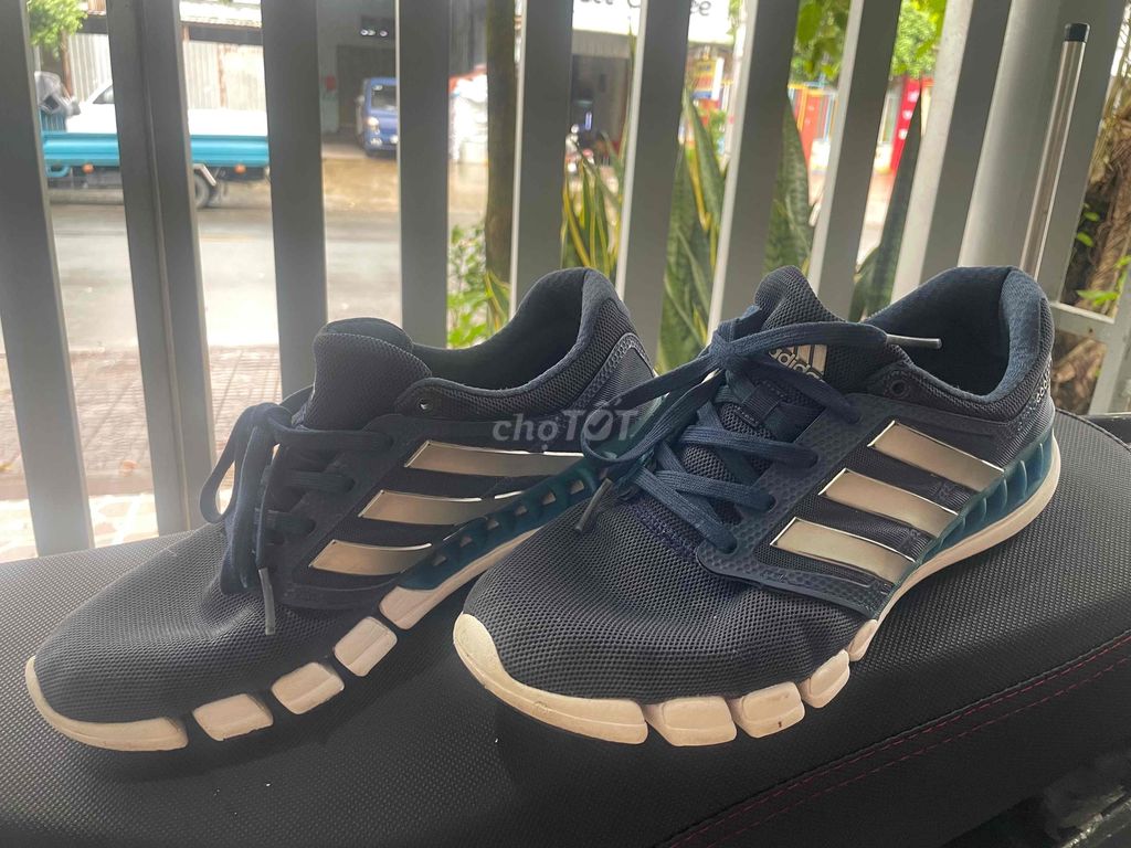 Giầy adidas chính hãng