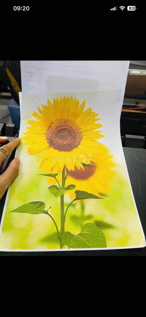 Máy in màu Epson  L3110. Mua bán Đồ dùng văn phòng tại Thành phố Cà Mau Cà Mau được đăng bởi Máy Văn Phòng Lê Kim Cà Mau hình 1