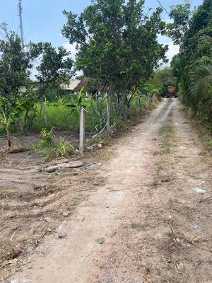 đất bến cát cách dt 748 chừng 70m xây trọ rất đẹp. Mua bán đất tại Thị xã Bến Cát Bình Dương được đăng bởi nguyễn ngân