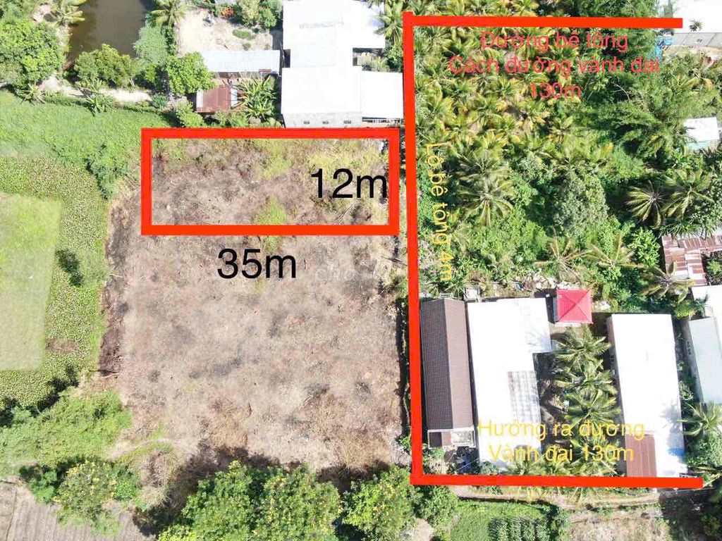 ĐẤT THỔ CƯ 400m2 Lộ Bê Tông tại TT Óc Eo. Mua bán đất tại Huyện Thoại Sơn An Giang được đăng bởi Văn Nghị.Bđs hình 4