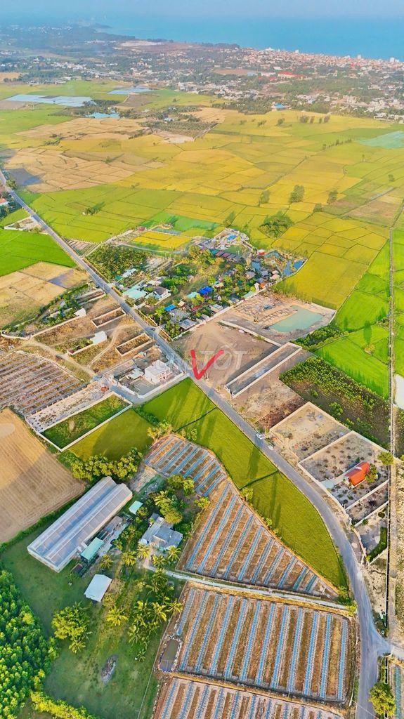 Bán 851m2 đất Thị Trấn Phước Hải - cạnh khu Đồng Gió. Mua bán đất tại Huyện Đất Đỏ Bà Rịa - Vũng Tàu được đăng bởi Trần Thị Thơm hình 1