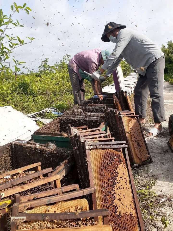 Ảnh số 7