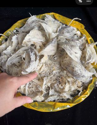 Tổ yến thô Bình Định 415g. Mua bán Đồ ăn, thực phẩm và các loại khác tại Quận Gò Vấp Tp Hồ Chí Minh được đăng bởi BÙI THỊ YẾN OANH 