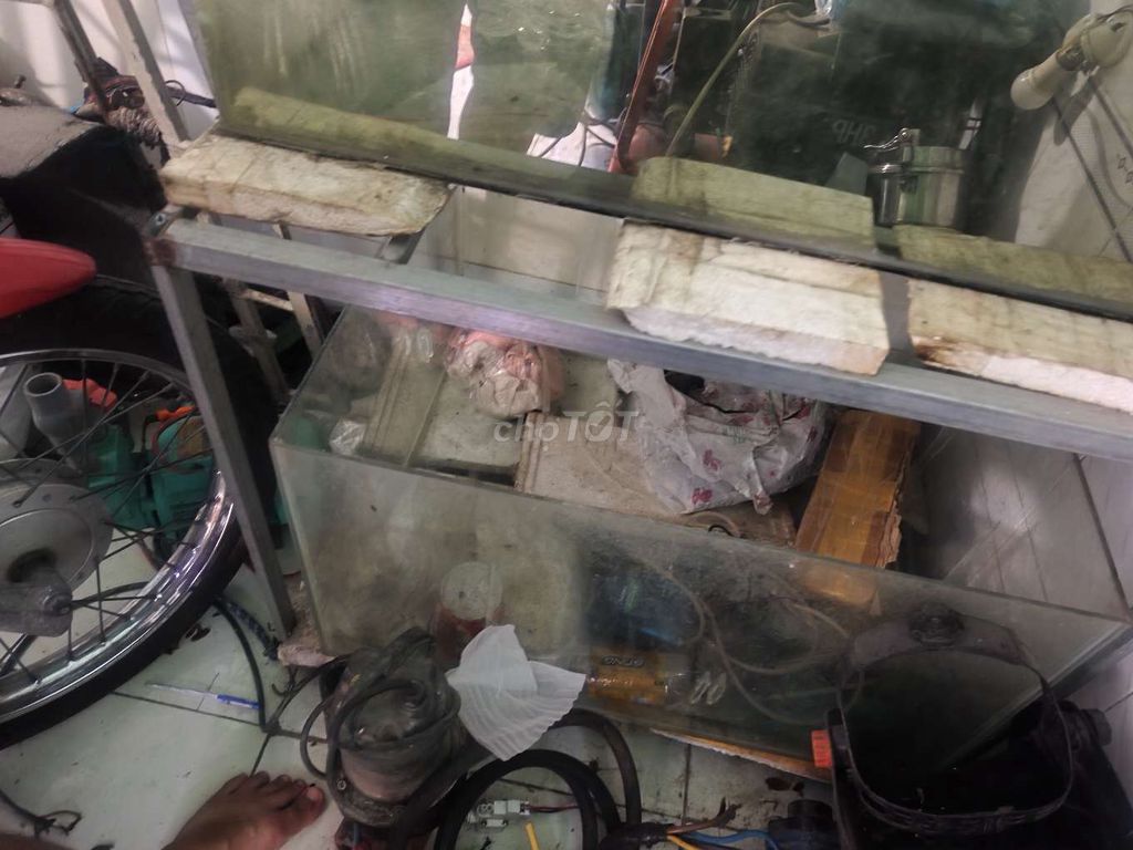 Hồ cá kính 2 lớn 1 nhỏ. Mua bán Phụ kiện, Thức ăn, Dịch vụ tại Thị xã Bình Minh Vĩnh Long được đăng bởi APhừng hình 1